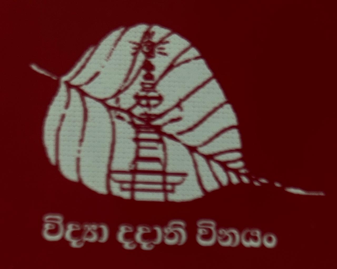 Schoo Logo